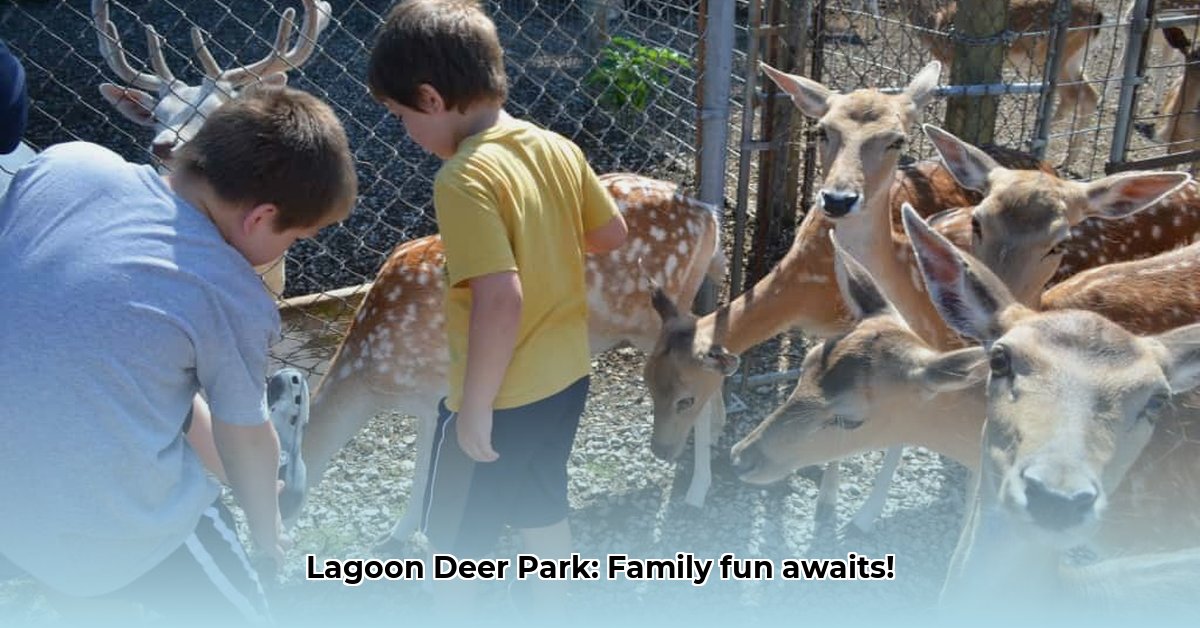 lagoon-deer-park-sandusky